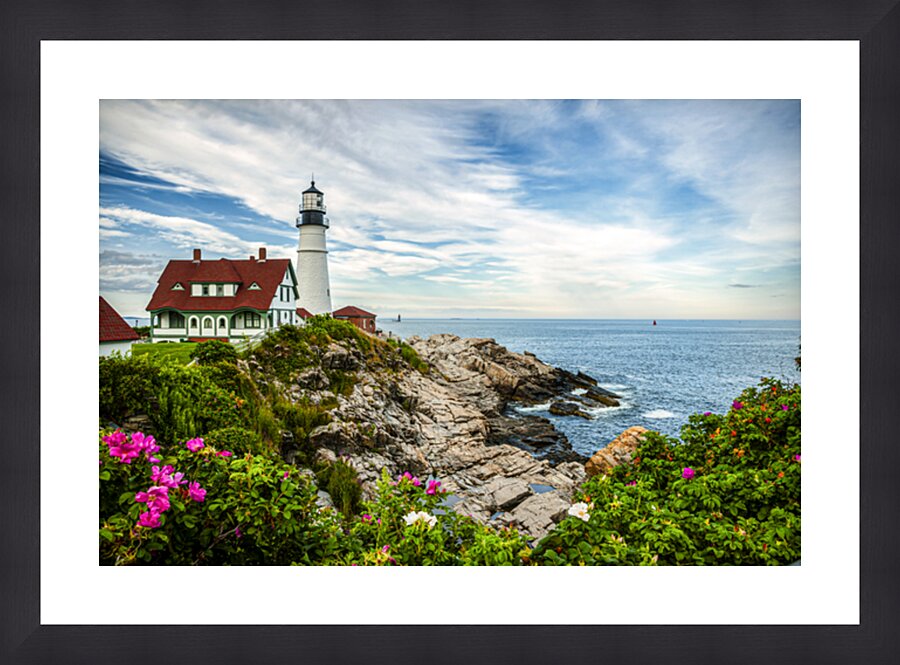 Fine Art print