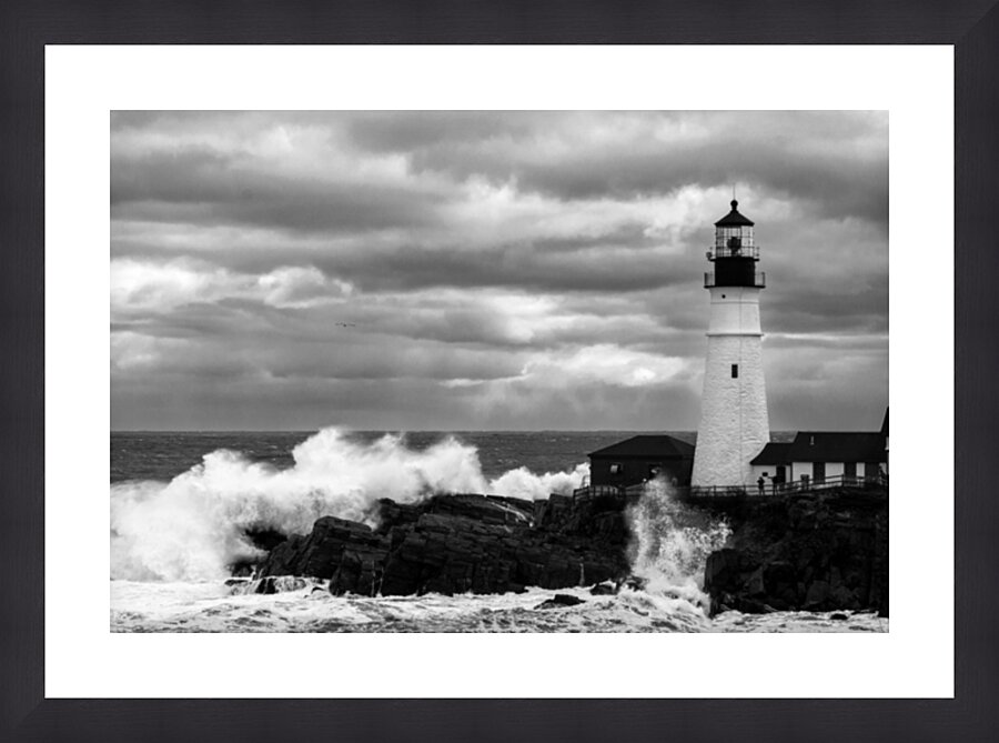  Fine Art print