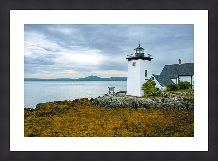  Fine Art print