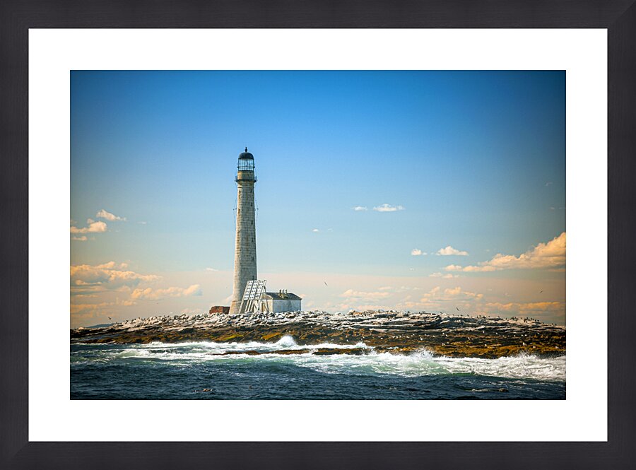  Fine Art print