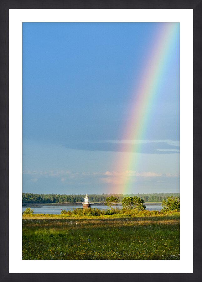  Fine Art print