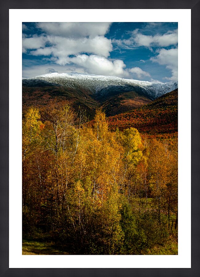  Fine Art print
