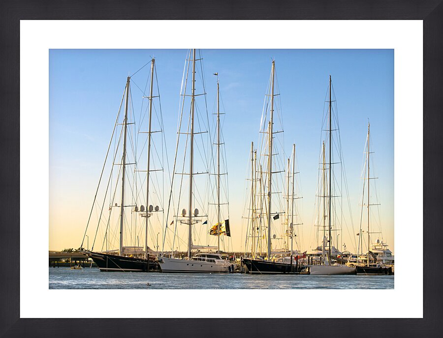  Fine Art print