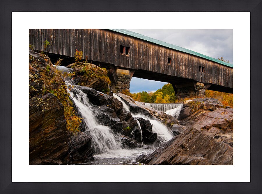  Fine Art print