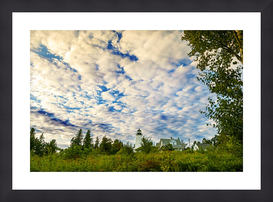  Fine Art print