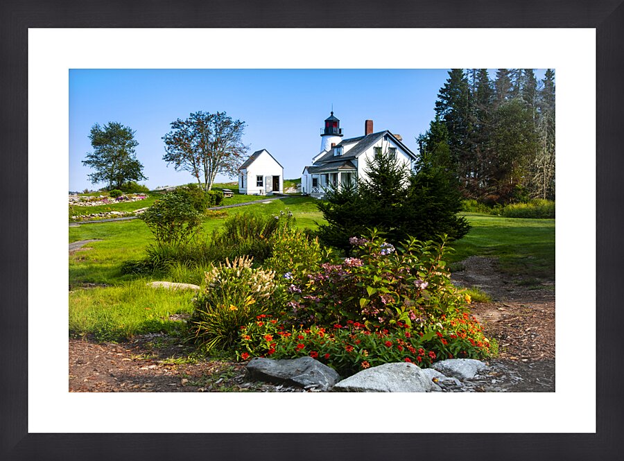 Wildflowers Garden by Burnt Island Lighthouse in Maine Picture Frame print