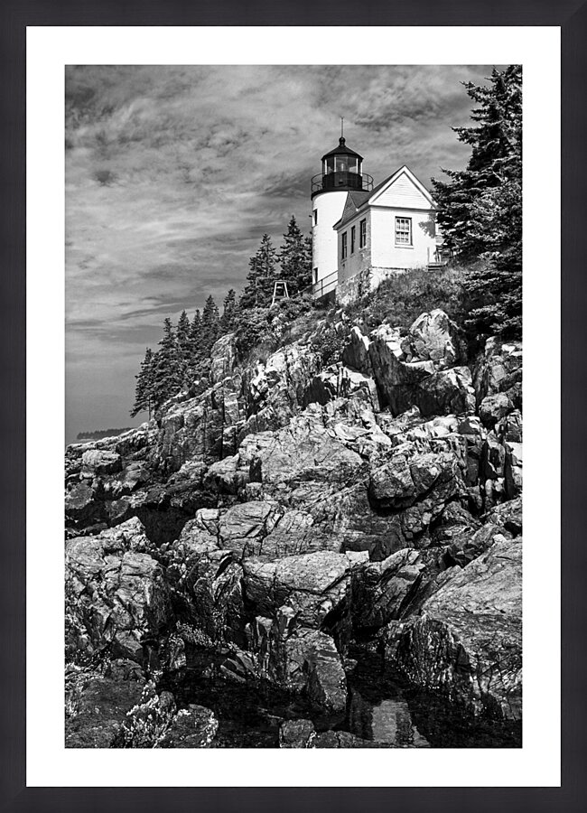  Fine Art print