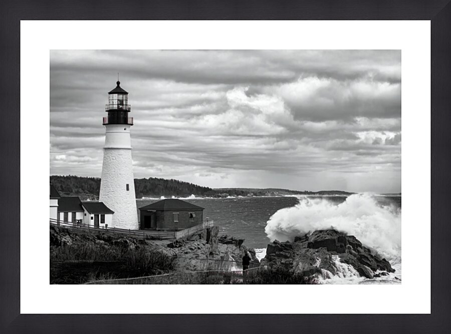  Fine Art print
