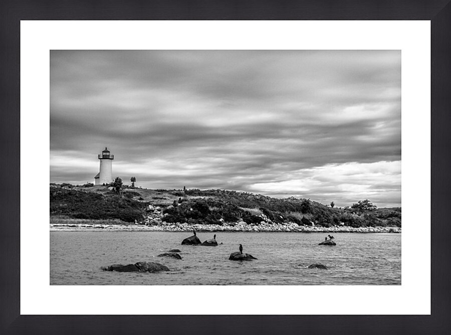  Fine Art print
