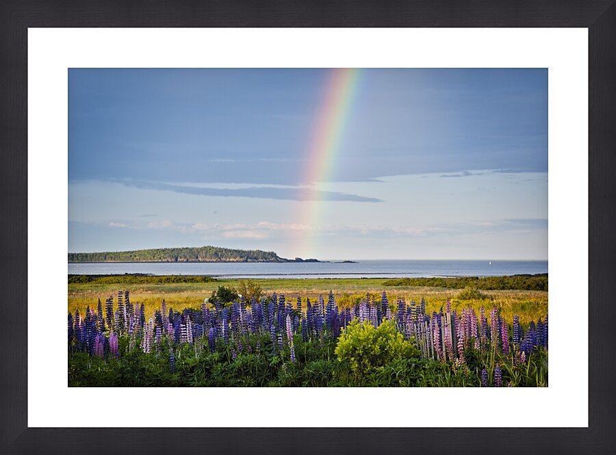  Fine Art print