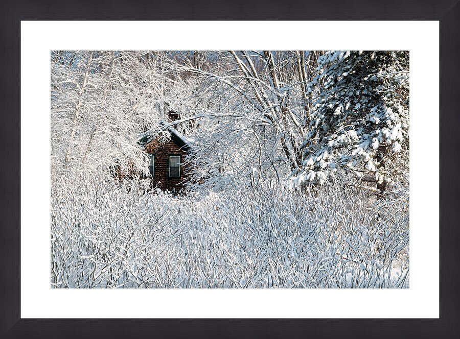  Fine Art print