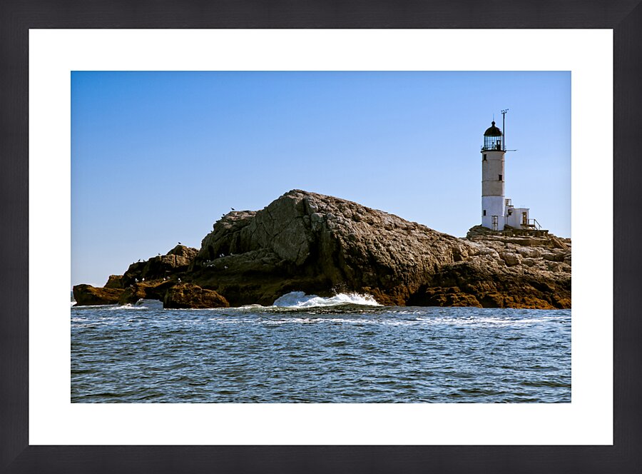  Fine Art print