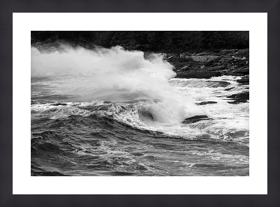  Fine Art print