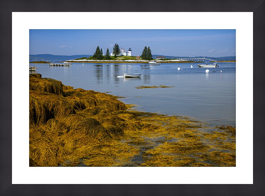  Fine Art print
