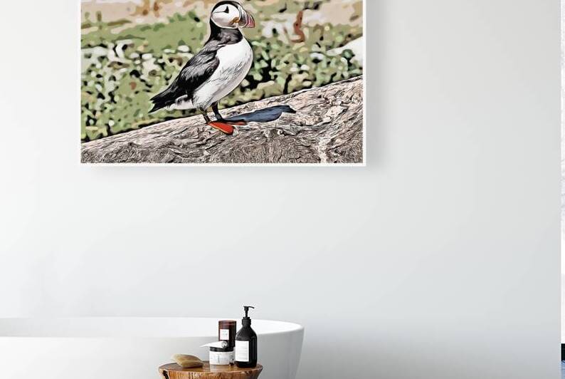Atlantic Puffin Guarding Its Nest on a Rocky Island in Maine - Illus. by Allan Wood