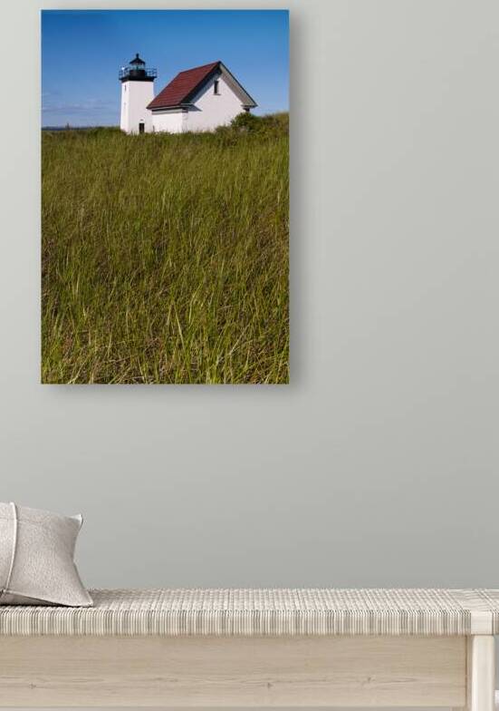 Beach Grass Surrounds Long Point Lighthouse on Cape Cod in Provincetown in Massachusetts by Allan Wood