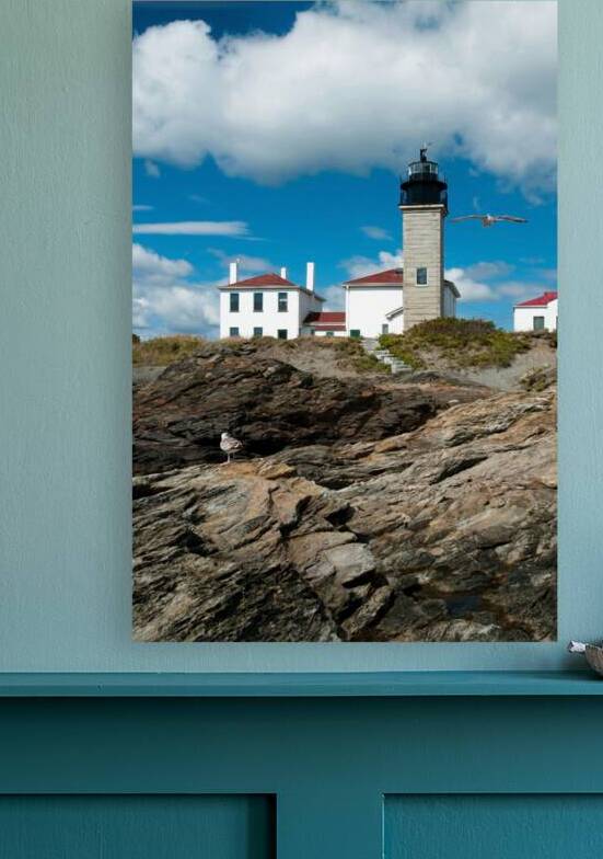 Seagull Flies by Beavertail Lighthouse in Rhode Island by Allan Wood