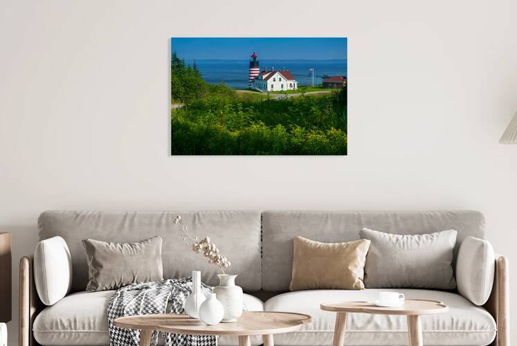 Wildflowers in Front of West Quoddy Head Light in Maine by Allan Wood