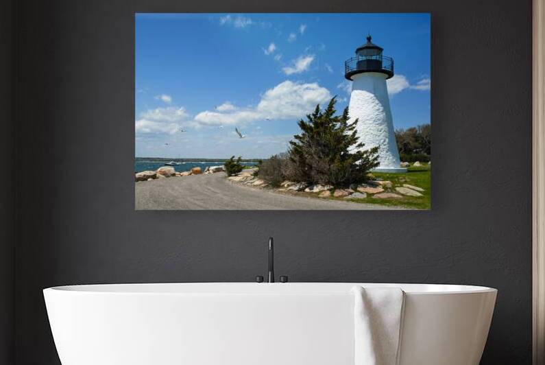 Seagulls Flying From Neds Point Lighthouse in Park in Massachusetts by Allan Wood