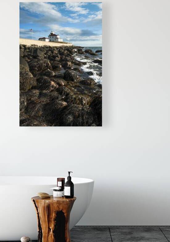 Seaweed Covered Rocky Shore at Watch Hill Light At Low Tide in Rhode Island by Allan Wood