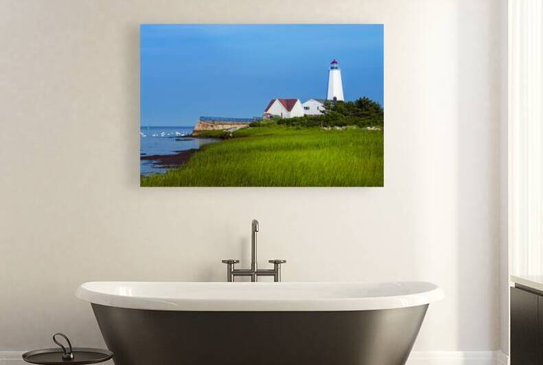 Swans at Low Tide Near Beachgrass of Lynde Point Lighthouse in Connecticut by Allan Wood