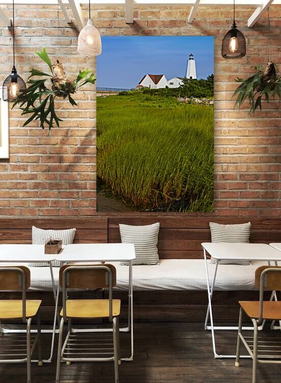 Beachgrass by Lynde Point Lighthouse at Low Tide in Connecticut by Allan Wood