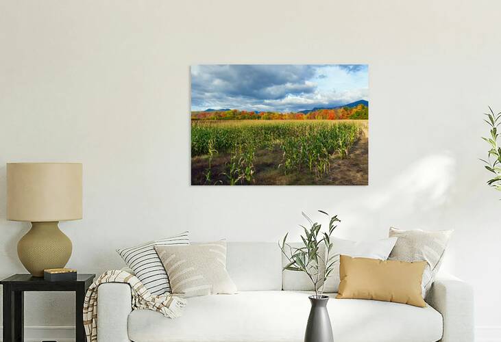Autumn Colors at End of Cornfield in White Mountains in New Hampshire by Allan Wood