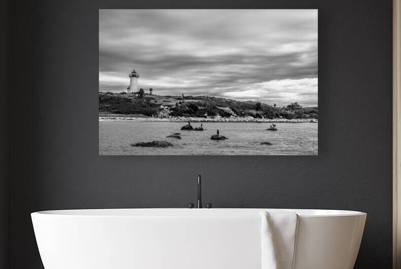 Storm Clouds Over Buzzards Bay Lighthouse Among Seabirds in Massachusetts - B&W by Allan Wood