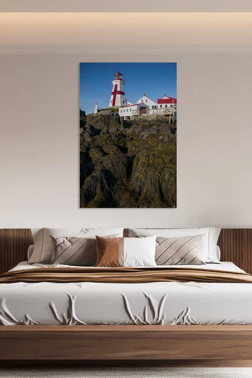 Seaweed Covered Rocks Around  Head Harbor Lighthouse in Canada at Low Tide by Allan Wood