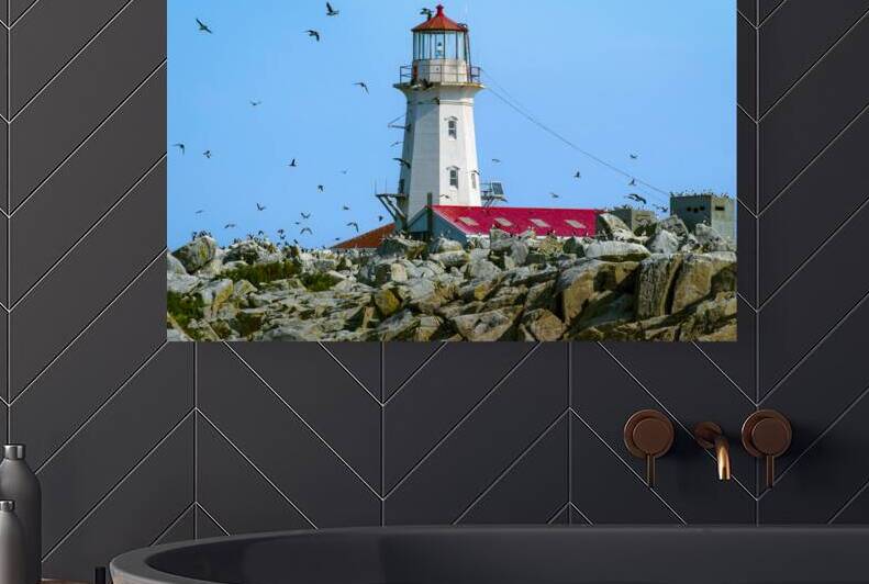 Puffins Flying Around Machias Seal Island Lighthouse in Canada by Allan Wood