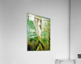falls Acrylic Print
