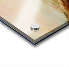 Inkscape 23 Acrylic print