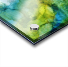 Inkscape 11 Acrylic print