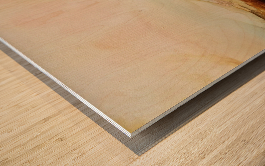 Inkscape 23 Wood print