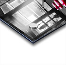 12x24 Blue Bird Stools Acrylic print