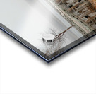 Regina Beach Pier Acrylic print