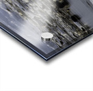 Polar Bear Mother Standing Acrylic print