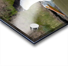 Pelicans 9976 Acrylic print