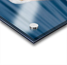 Pelican 1531 Acrylic print