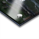 Pelicans 0292 Acrylic print