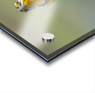 Western Meadowlark 0452 Acrylic print