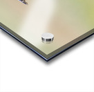 Western Meadowlark 0421 Acrylic print