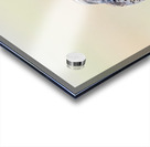 Western Meadowlark 0428 Acrylic print