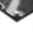 Elephant BW 7937 Acrylic print