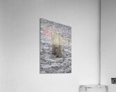 Polar Bear 4578 Acrylic Print