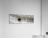 Polar Bear Mother Standing Acrylic Print