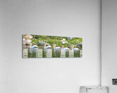 Pelicans 9847 Acrylic Print