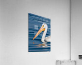 Pelican 1531 Acrylic Print