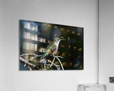 Female Ruby throated Hummingbird 1384 Acrylic Print