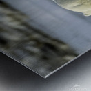 Polar Bear Mother and Cub Metal print